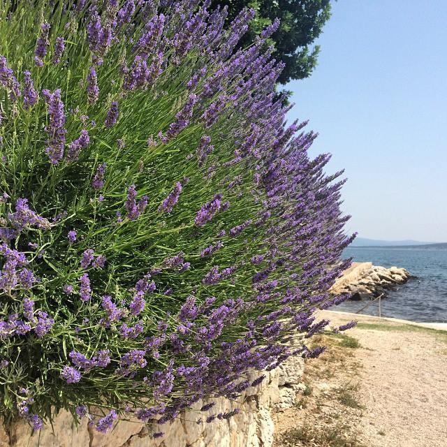 Apartman Mare Maslenica Exterior foto